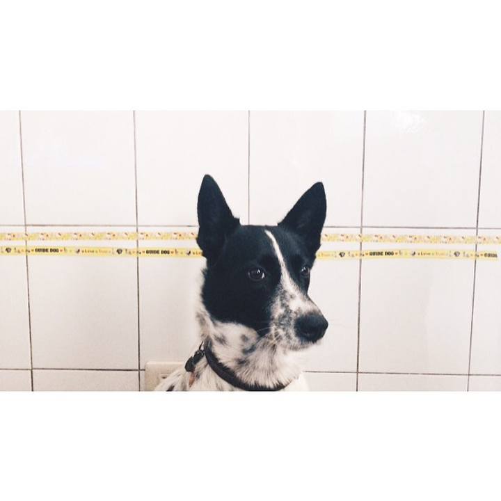 Dc4d3741 fca2 464d b226 a617e8219245