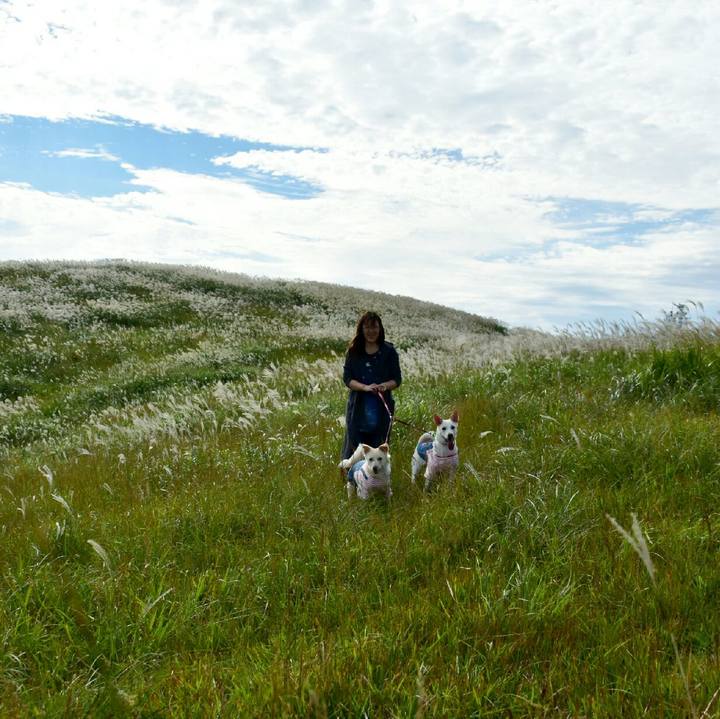 Dc4dc857 23cd 4a5a a07f 886f5f389505