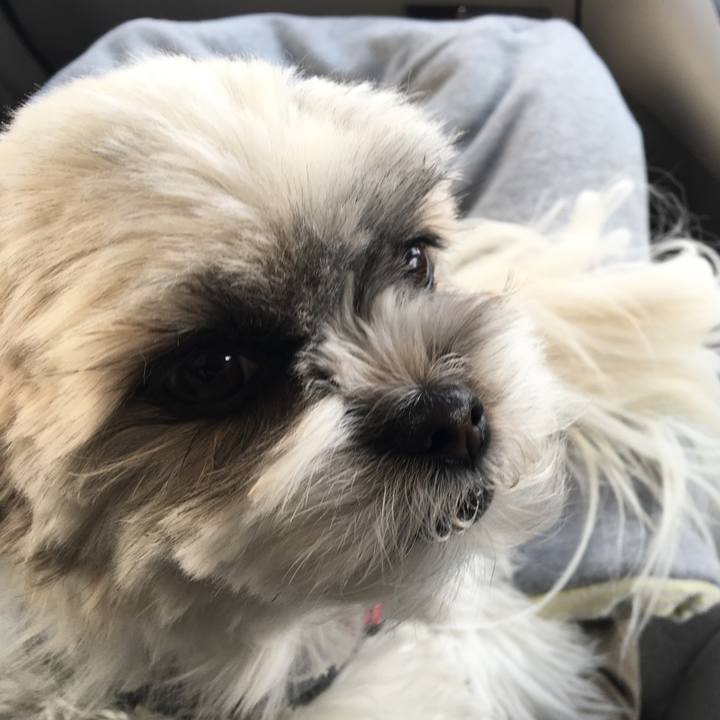 Dc4e3ca4 8269 453f b817 5efb676f364d