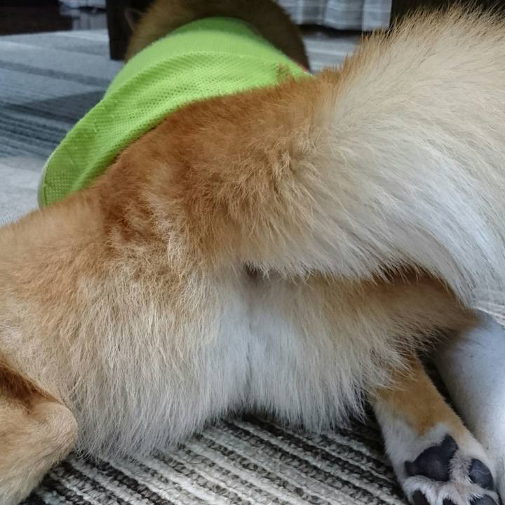 Dc4e4026 6334 43b6 af6a 2e5c0f7ce677