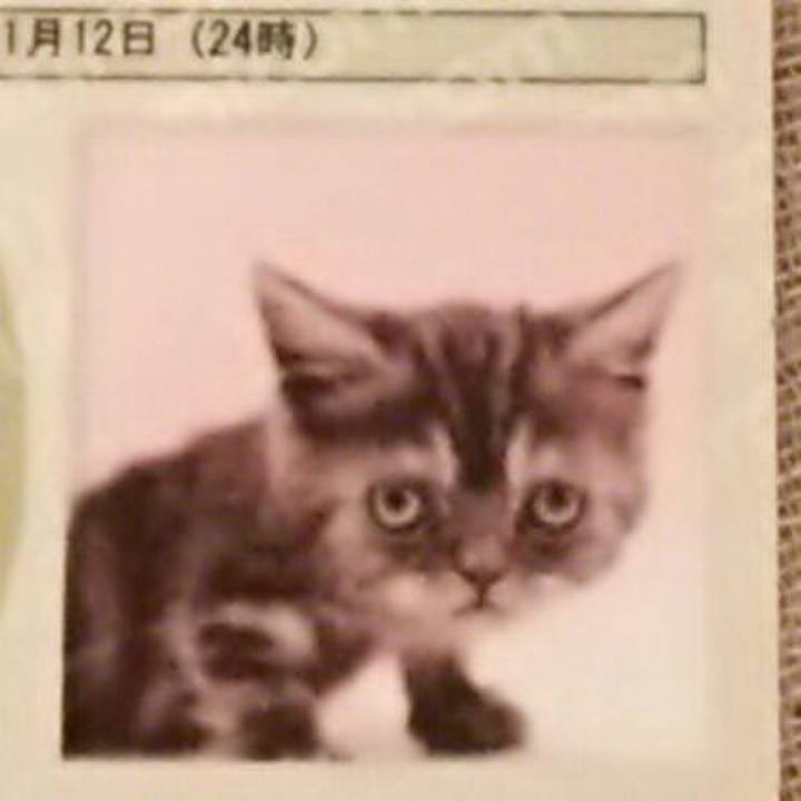 Dc4e6f1f cba8 46b8 8fa6 d216c7b2ca1e