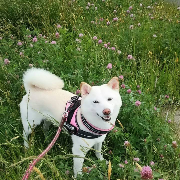 Dc4e8141 d31b 4a2c b33c 8a17fbd3c0a3