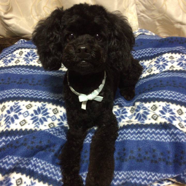 Dc4e9ff6 f54c 4b70 be70 23510c11deac