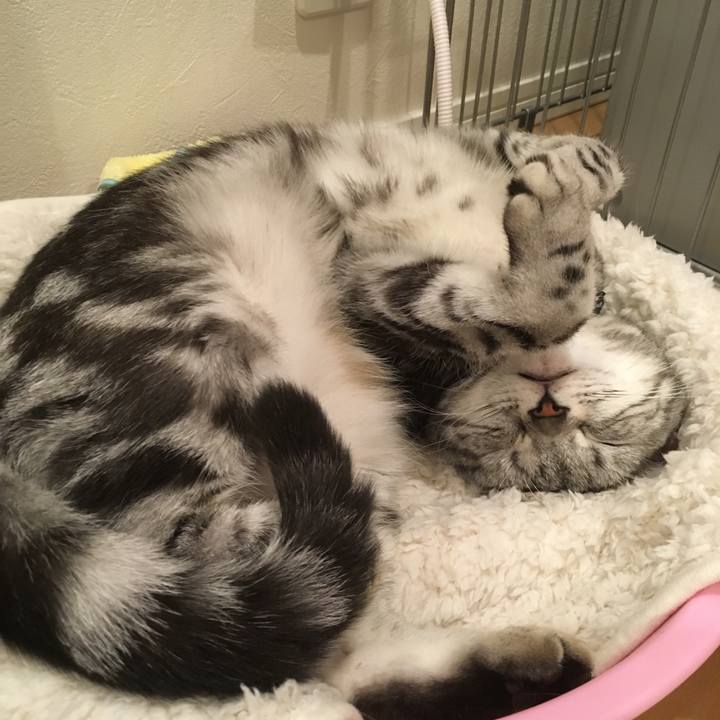 Dc4ea924 b0f2 4abc 940e acc5b417ae27