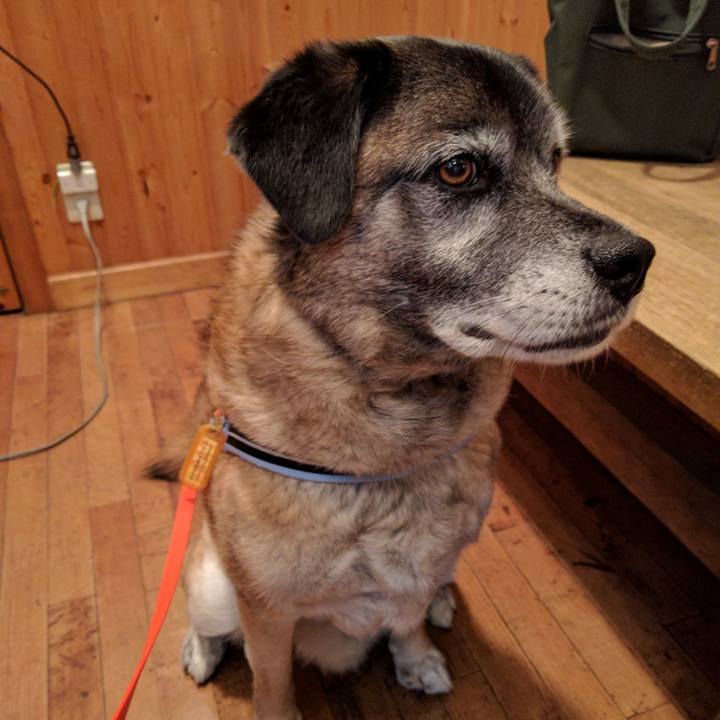 Dc4eeff9 41d9 46c8 8dc5 e8a52e948e23