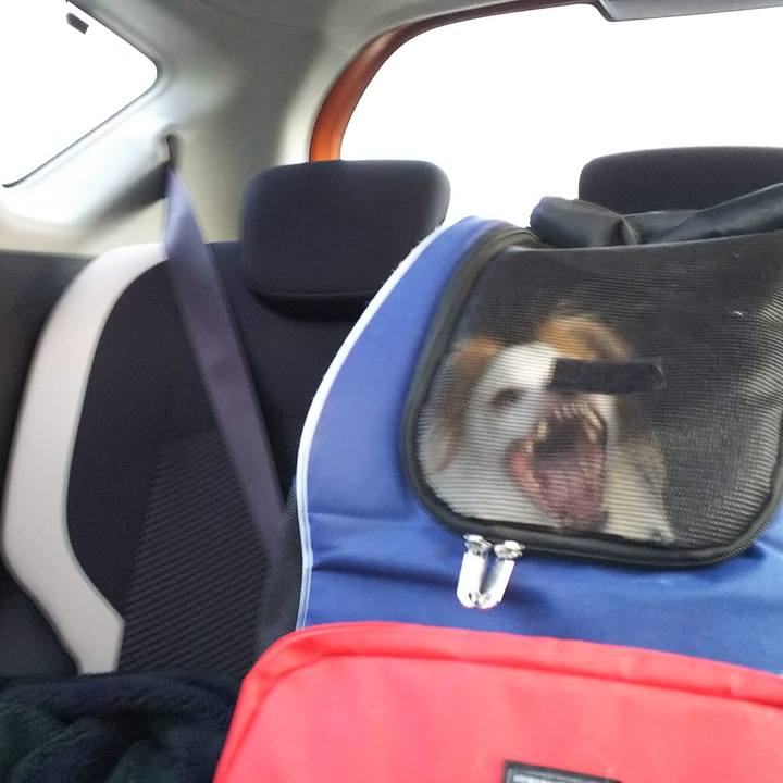 Dc4f4638 bd9c 43d1 b14b 4b89a56743cf