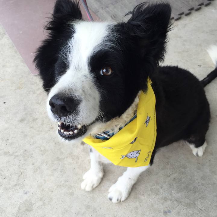 Dc4f4842 f68e 4b93 9fa4 29190897d167