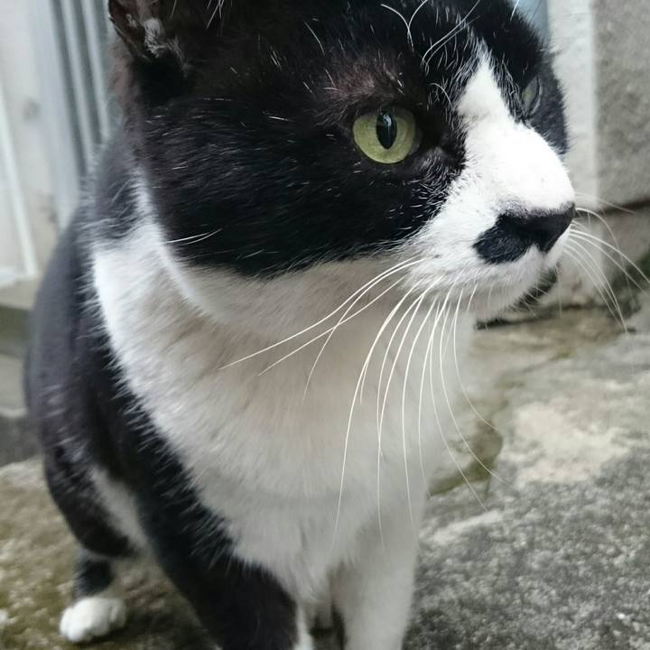 Dc4f7960 4faf 4fb1 ac01 59f061e9bedc