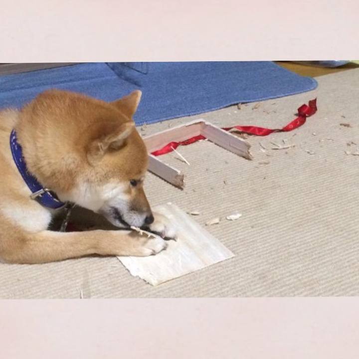 Dc4f925a 54ef 40f0 8833 aef299b55ac1