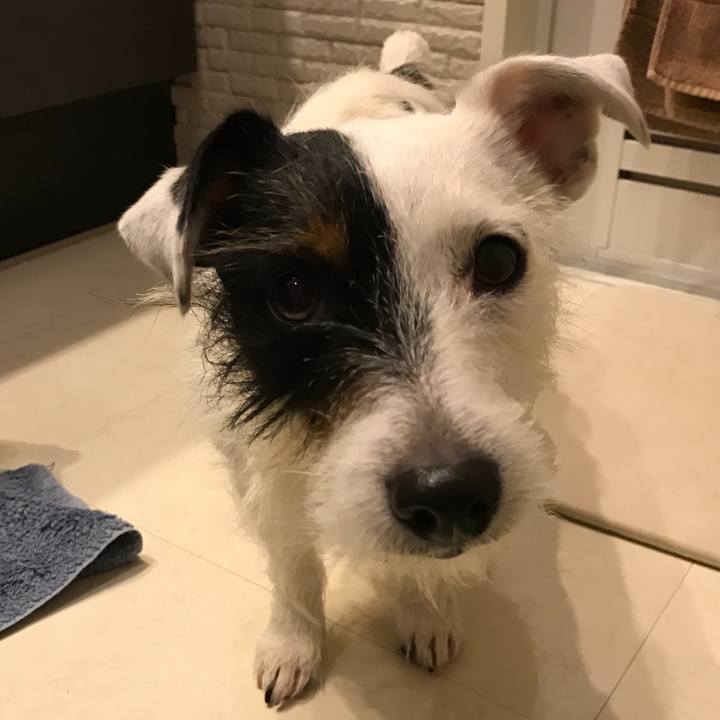 Dc4f9c33 e660 4fd2 b4d2 c309f6eddb66