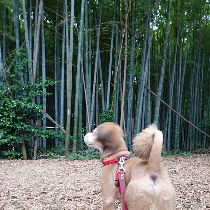 Dc5336de cd6c 493f a20c aa285494b222