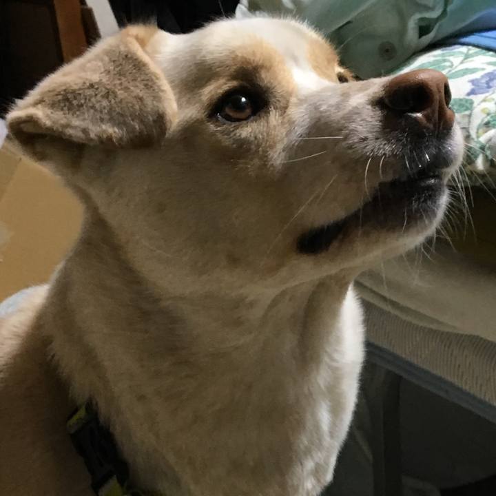 Dc53e80e 5d2f 41da 9ad6 f06b9d74af21