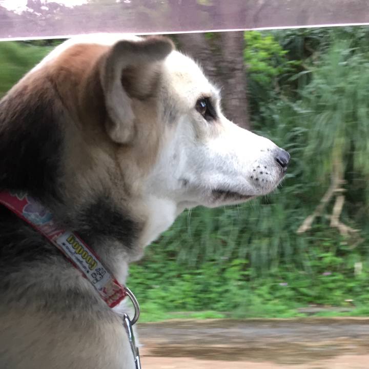 Dc54107f dcd6 4413 9f67 c2bfa55b99f4