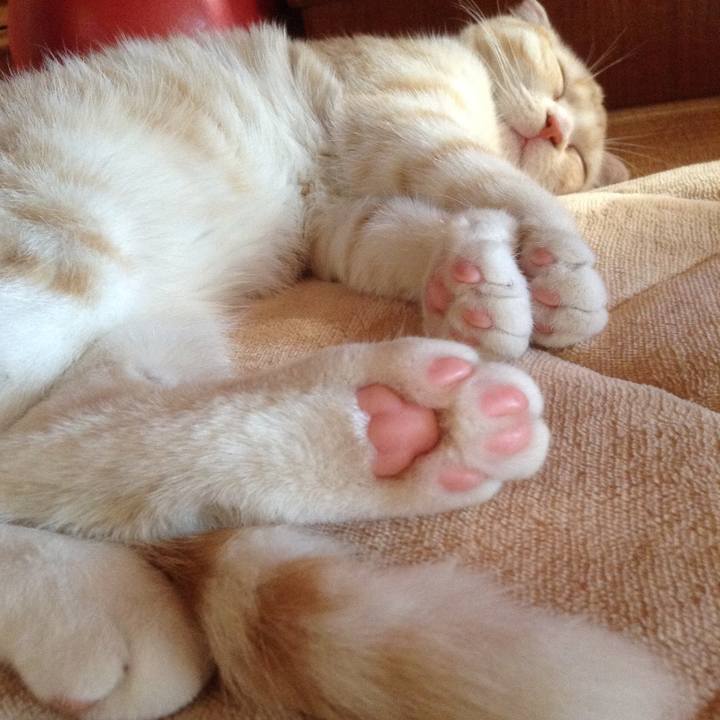 Dc543c8d b1ce 445d bc76 7f16d55aef37