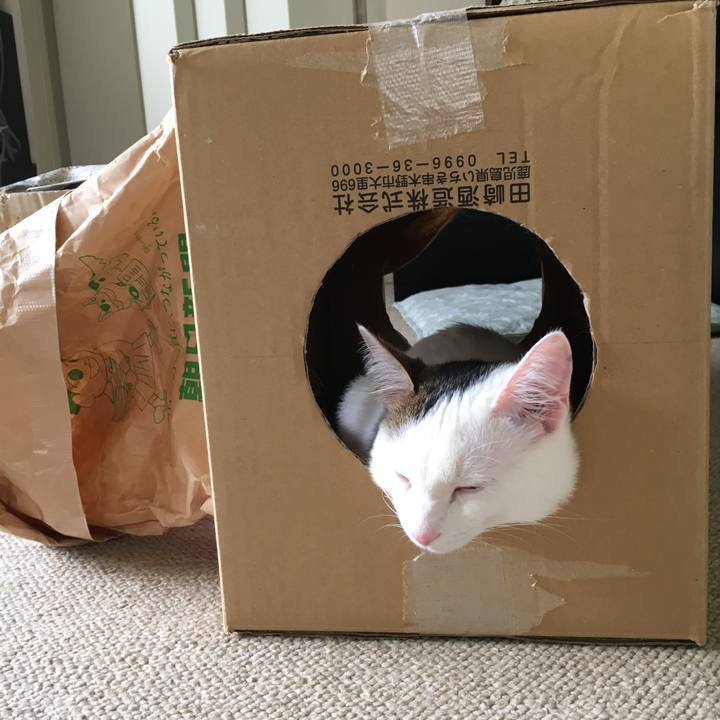 Dc545272 b83f 452a b72c 6ab620ce6fb9