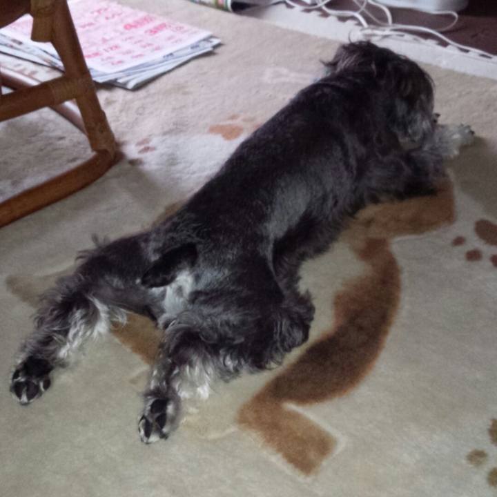 Dc55ac57 6e86 43e2 a2ad 6b26e402cb45