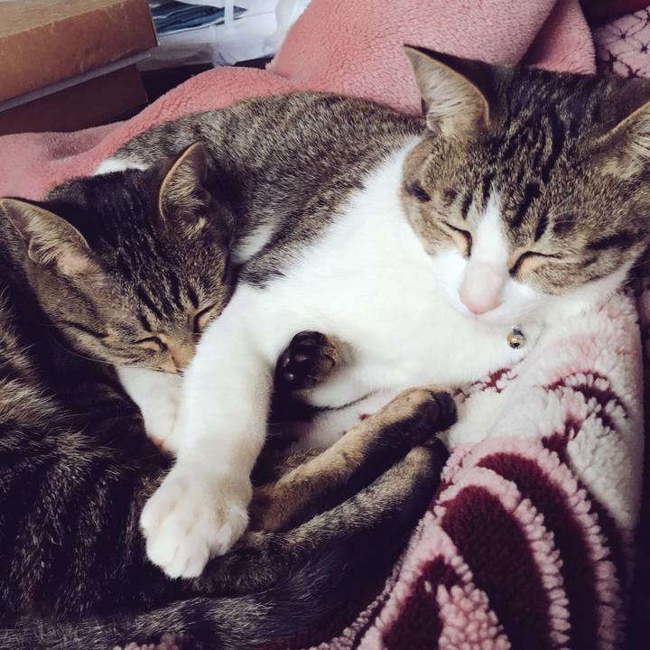 Dc55be0f d892 4fc4 ab4e 34b99c2be0a7