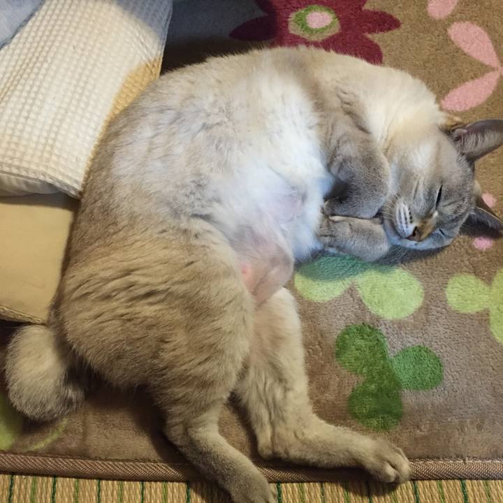 Dc55d938 53e9 47b7 adb6 802eaf9dc46a