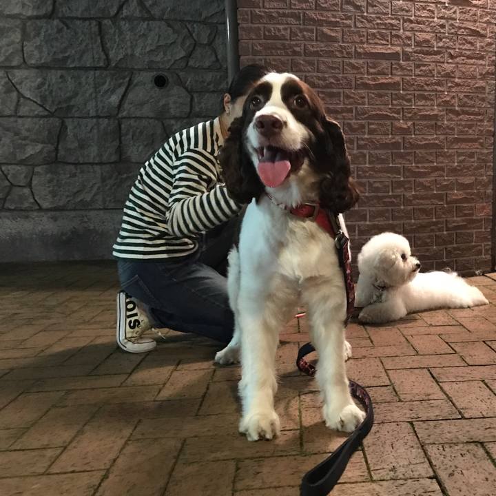 Dc565bbe de6f 4660 8739 47a202906c6c