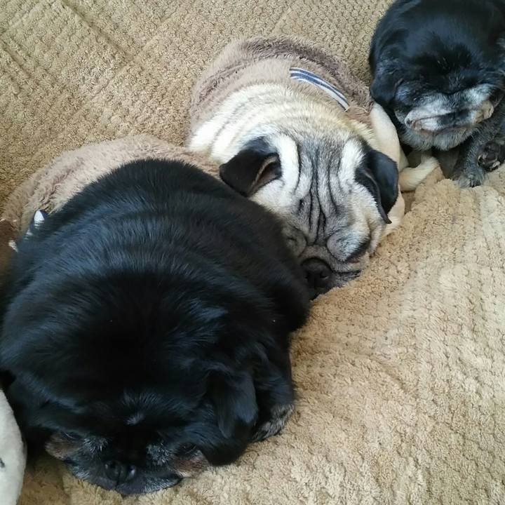 Dc566ec4 a7e1 468e a274 019011acd60b