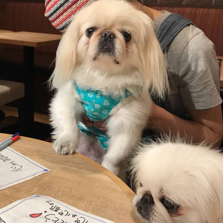 Dc57a984 54cd 4453 805b 54007d5d02ae