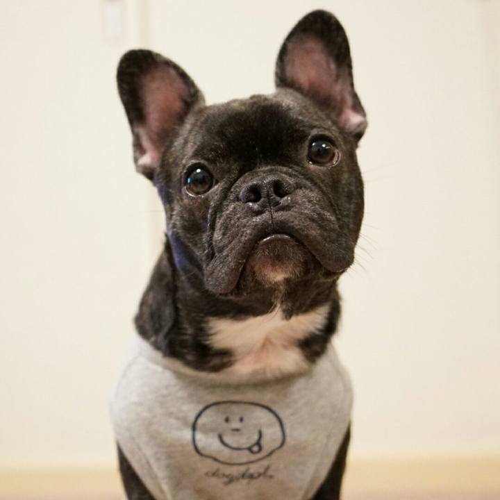 Dc589d6e ad1c 48c5 a255 795bd075856f