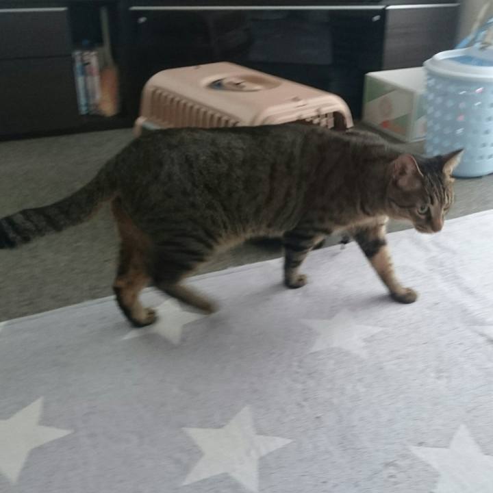 Dc58e5da cd1b 4184 8c97 000981b3a7ad