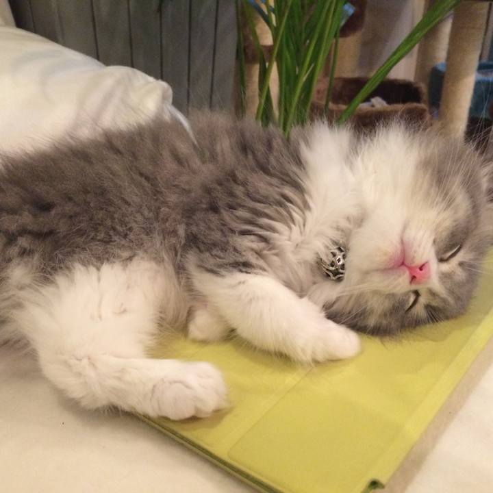 Dc590492 8986 4a19 a182 3e5a4a17bcfa