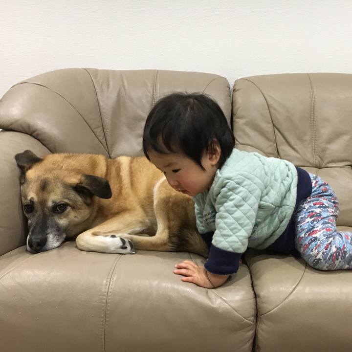 Dc590cd5 f780 4e95 ab60 e45088245736