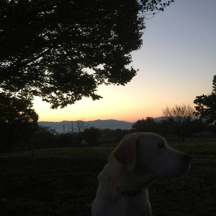 Dc594ed8 8f10 44bc 9c1e 6238c1f59b06