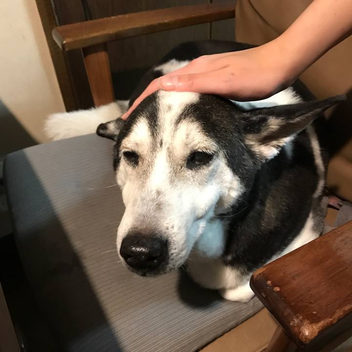 Dc594eed 0edf 4a33 bd52 36c9d7569686