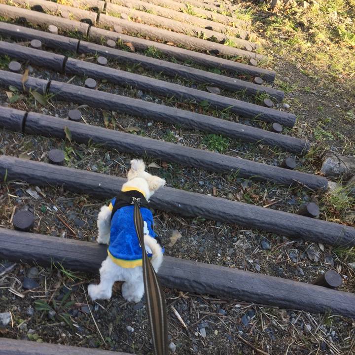 Dc5969a5 7f8d 471f 9ac4 a8a9fd38fc11