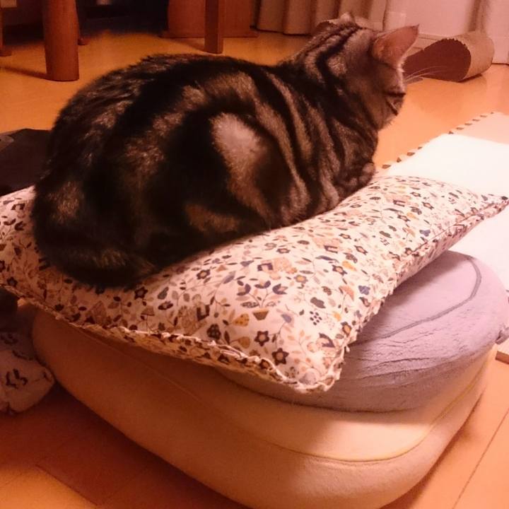 Dc598c4f 09ca 4cb3 a44f 6c5b7cf55bc2