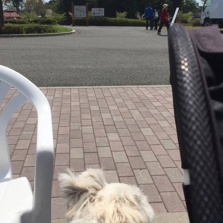 Dc59ca81 3f0a 4fb7 b5a6 09a9af0fb452