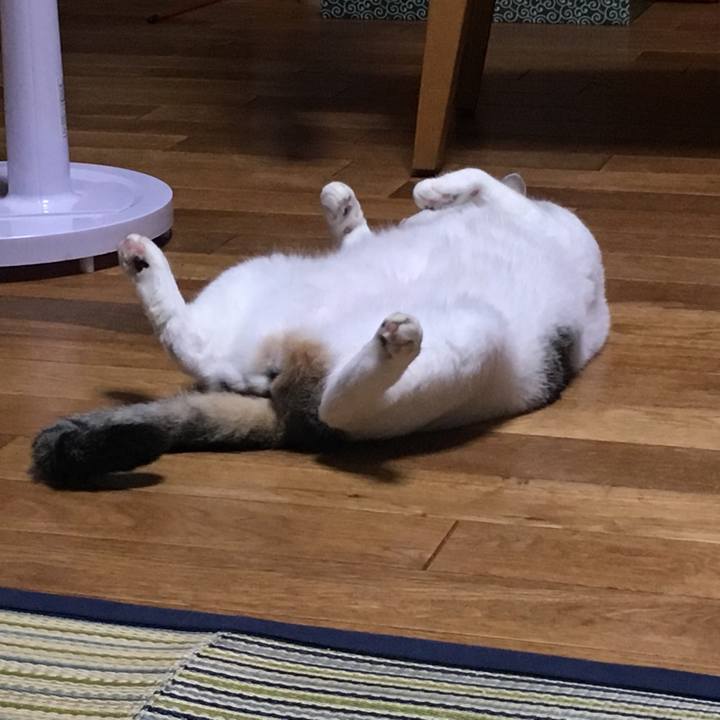 Dc5a4889 80cb 4412 89cd 9ad8d8d9733b