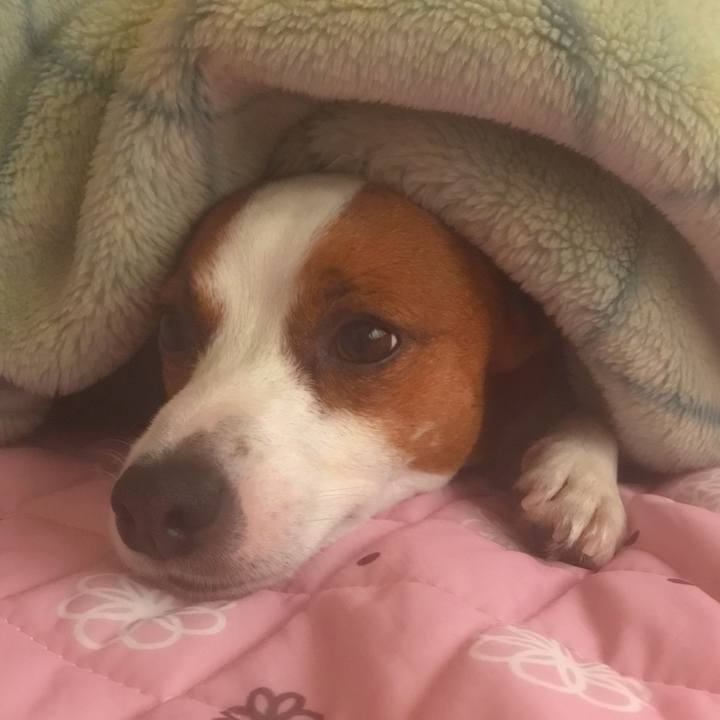 Dc5a5d0f 4c16 44fe 9bd9 fbffc17f5a5d