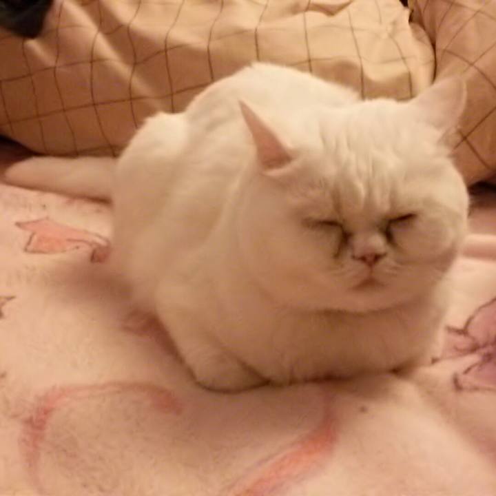 Dc5a8f1f 9da3 4c60 9647 2db3afb31a60