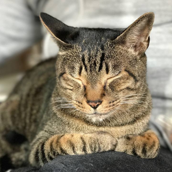 Dc5ace26 5843 42b3 b582 078e2a2b341c