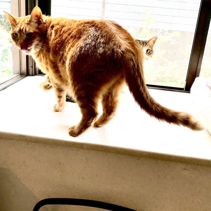 Dc5ad054 6db3 4e60 9274 77d531e40192