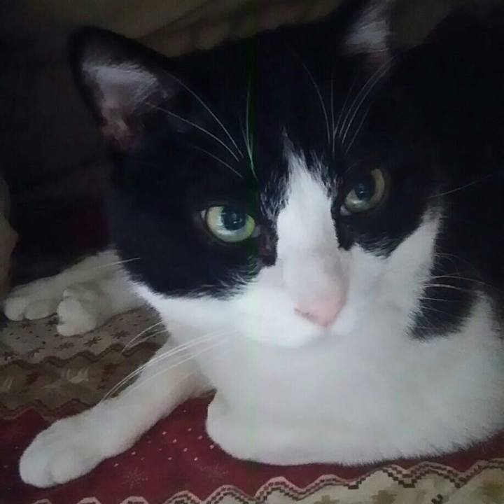 Dc5ad17a 90d8 402c 929f c02ebcb17ffd