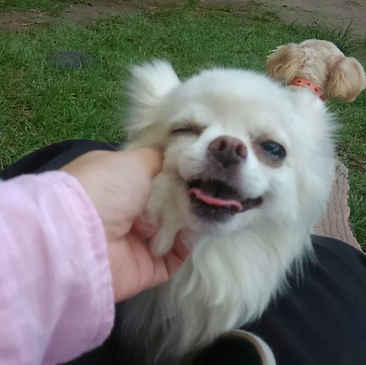 Dc5c3b9c e277 4e04 a57d b5b5a30a4f4d