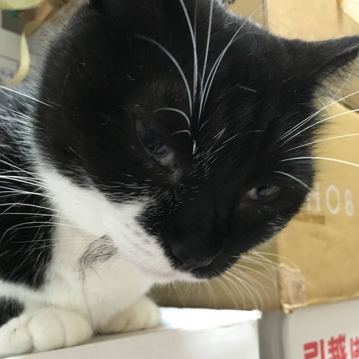 Dc5c8e16 a330 431a a263 cbeadd1a8698