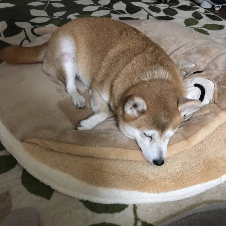 Dc5c9f22 c85a 4d6e 8fb1 db729fc9e41a