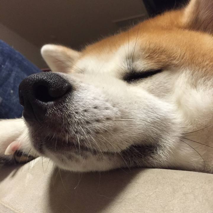 Dc5cdeac 22bf 4f4d a0a5 ce0aaf41f0a8