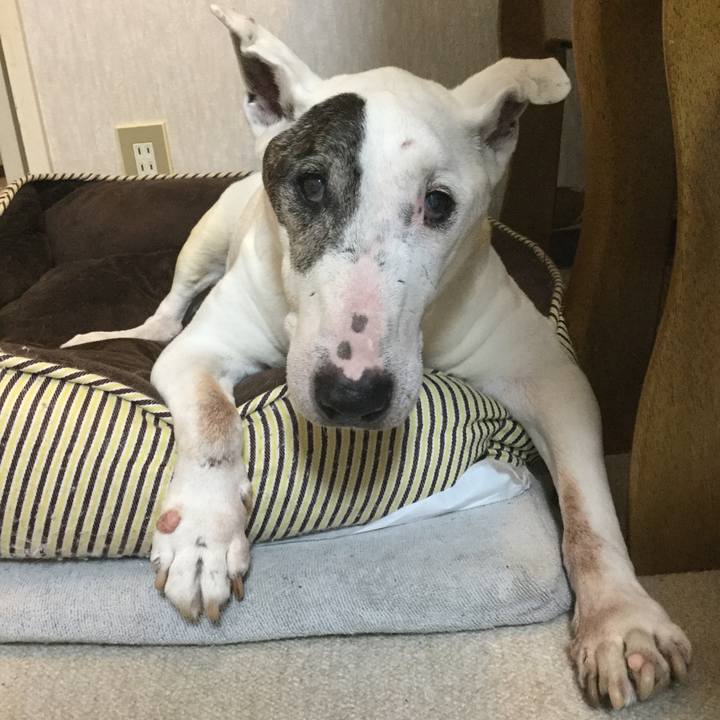 Dc5eb236 3001 440a 8634 958bc1246e1a