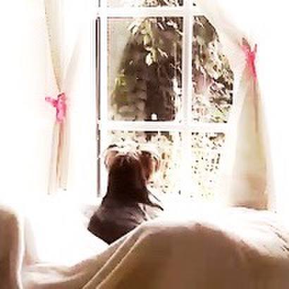 Dc5fdc48 2b3f 4fc4 99bc 48e6ea848e13