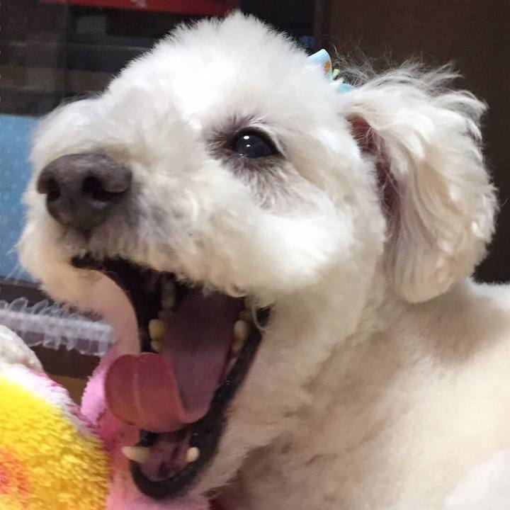 Dc602105 3113 4ef0 b8ac 7d9216ca28e3