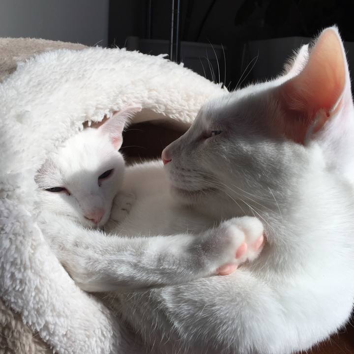 Dc60f445 e8be 4d5d 95d6 53a6e46beb8c