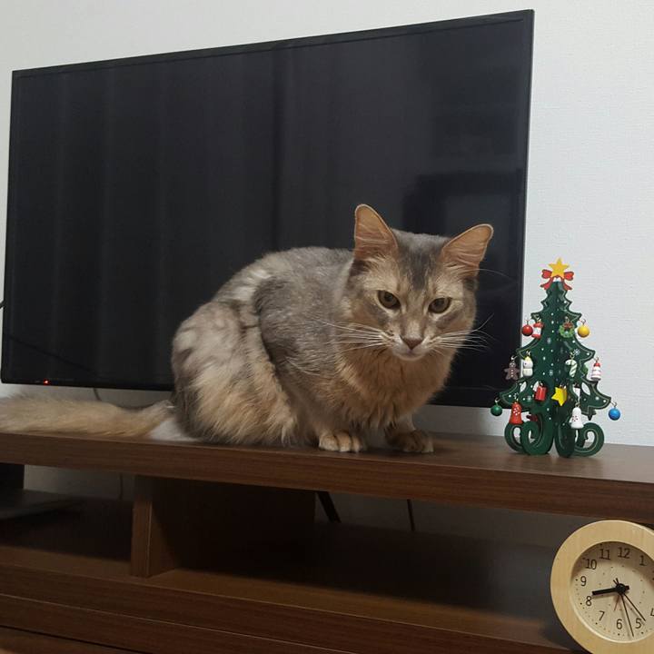 Dc611c03 e35a 4427 b974 89cd16e2f545