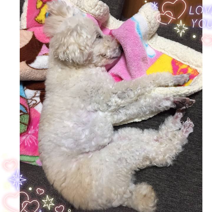 Dc6146d0 fc63 4364 b2e2 afd571e1c3a7